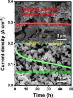 (La0.75Sr0.25)0.95(Cr0.5Mn0.5)O3-δ-Ce0.8Gd0.2O1.9 Scaffolded Composite ...