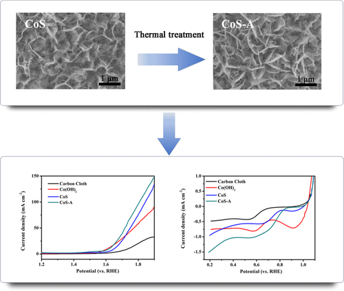 In Situ Electrodeposition of Cobalt Sulfide Nanosheet Arrays on Carbon ...