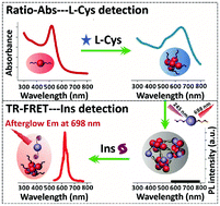 Functionalized gold and persistent luminescence nanoparticle-based ...