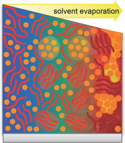 Solvent Additives: Key Morphology‐Directing Agents for Solution ...
