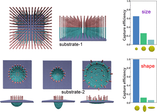 Computational Design of a Functionalized Substrate for Capturing ...