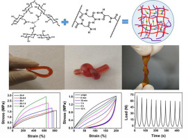 A highly tough and stiff supramolecular polymer double network hydrogel ...
