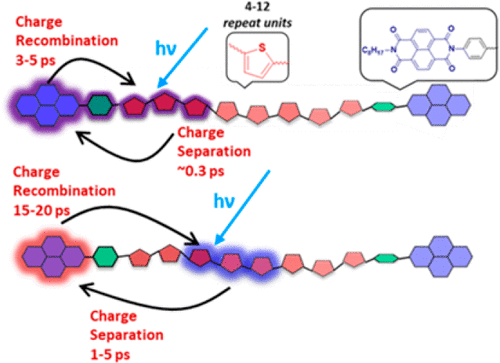 Role of Structure in Ultrafast Charge Separation and Recombination in ...