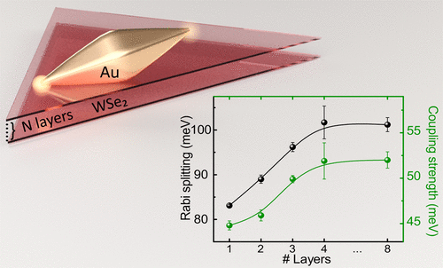 Strong Light–Matter Coupling between Plasmons in Individual Gold Bi ...