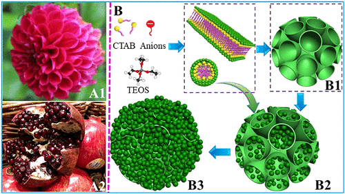 Kinetically Controlled Dendritic Mesoporous Silica Nanoparticles: From ...