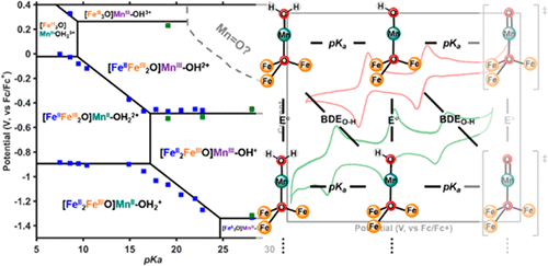 Thermodynamics of Proton and Electron Transfer in Tetranuclear Clusters ...