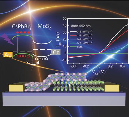 High‐Performance Low‐Voltage‐Driven Phototransistors Through CsPbBr3–2D ...