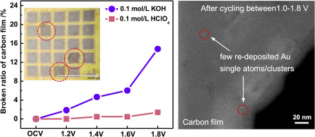 Electrochemical stability of Au-TEM grid with carbon supporting film in ...