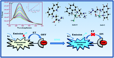 A dual response fluorescent sensor for HNO and S2− ions using a Cu(ii ...