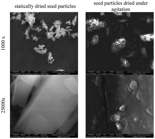 Improving the Filterability of Particles by Healing the Seed Particles ...