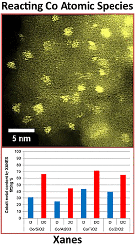 Effect of Pretreatment Method on the Nanostructure and Performance of ...