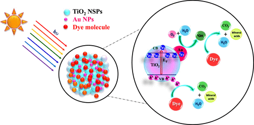 Ultrasmall Plasmonic Nanoparticles Decorated Hierarchical Mesoporous ...