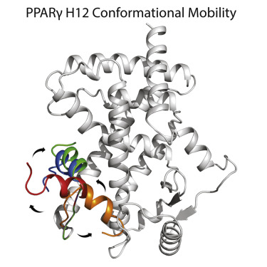 Chemical Crosslinking Mass Spectrometry Reveals the Conformational ...