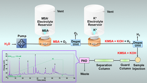 高效阴离子交换色谱法用于寡糖分析的双电解洗脱液生成 Analytical Chemistry X Mol