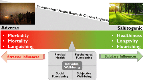 Advancing Environmental Epidemiology to Assess the Beneficial