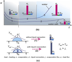 The role of convection in gas and liquid phases at droplet evaporation ...