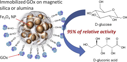 Immobilized Glucose Oxidase On Magnetic Silica And Alumina Beyond Magnetic Separation International Journal Of Biological Macromolecules X Mol