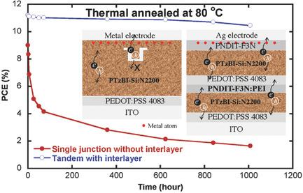 11.2% All‐Polymer Tandem Solar Cells With Simultaneously Improved ...