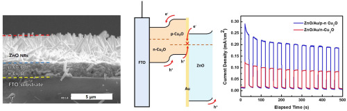 Enhanced Photoelectrochemical Properties Of Z Scheme Zno P N Cu2o Pv Pec Cells Journal Of Alloys And Compounds X Mol