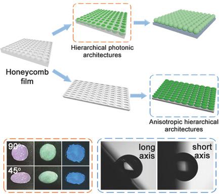 Fabrication Of Bioinspired Hierarchical Functional Structures By