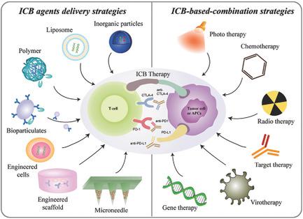 Toward Biomaterials For Enhancing Immune Checkpoint Blockade Therapy ...