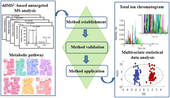 Development Of A Metabolic Pathway Based Pseudo Targeted Metabolomics Method Using Liquid