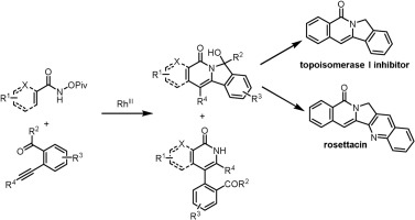 Rhodium Iii Catalyzed Intermolecular Cascade Annulation Through C H Activation Concise Synthesis Of Rosettacin Molecular Catalysis X Mol