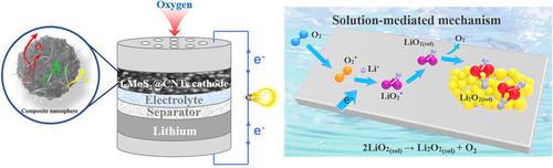 Three‐Dimensional Flower‐Like MoS2@Carbon Nanotube Composites With ...