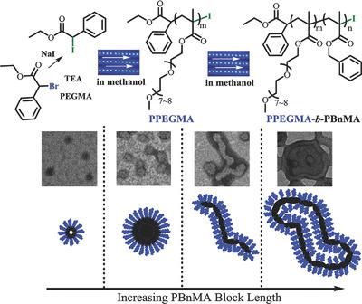 Photo‐Controlled Polymerization‐Induced Self‐Assembly (Photo‐PISA): A ...