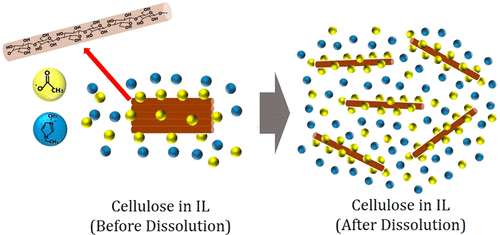 Cellulose Dissolution In Ionic Liquid: Ion Binding Revealed By Neutron ...