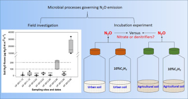 Nitrogen inputs are more important than denitrifier abundances in ...