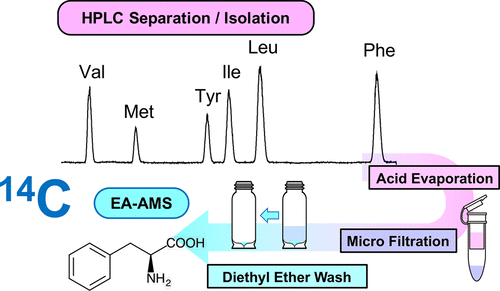 Improved Method For Isolation And Purification Of Underivatized Amino Acids For Radiocarbon