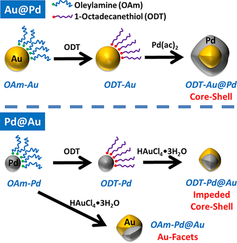 Controlling The Morphology Of Au Pd Heterodimer Nanoparticles By Surface Ligands Inorganic Chemistry X Mol