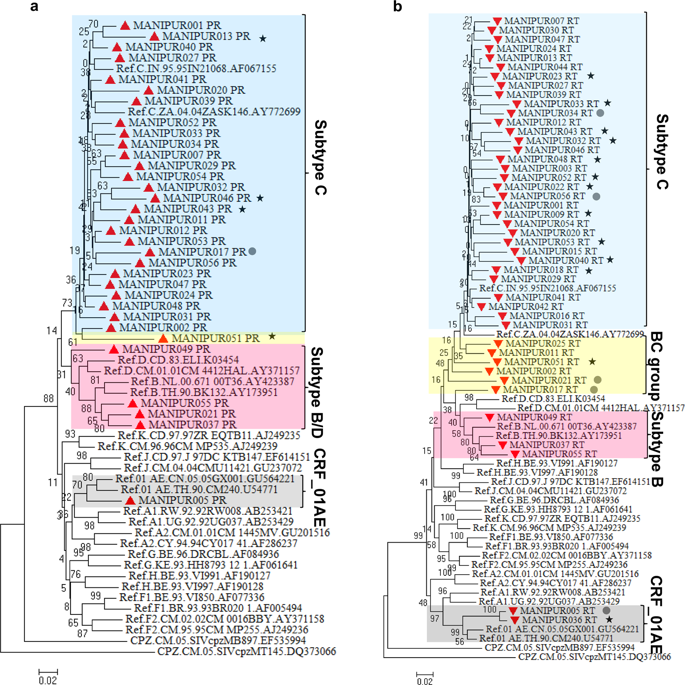 antiretroviral-resistance-genotypic-characterization-and-origin-of