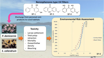 Comparative Toxicities Of Four Benzophenone Ultraviolet Filters To Two Life Stages Of Two Coral Species Science Of The Total Environment X Mol