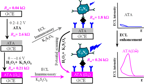 Electrochemical Signal Amplification Strategy For An Electrochemiluminescence Immunoassay With G C3n4 As s Analytical Chemistry X Mol