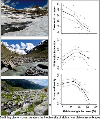 Declining Glacier Cover Threatens The Biodiversity Of Alpine River ...