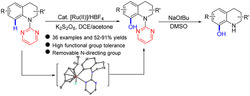 Ruthenium Ii Catalyzed Regioselective C 8 Hydroxylation Of 1 2 3 4 Tetrahydroquinolines Organic Letters X Mol