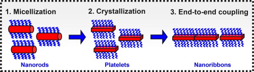 Photopolymerization Assisted Self Assembly As A Strategy To Obtain A Dispersion Of Very High Aspect Ratio Nanostructures In A Polystyrene Matrix European Polymer Journal X Mol