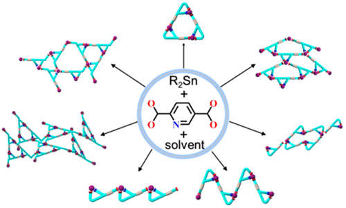 Pyridinedicarboxylic Acids As Versatile Building Blocks For ...