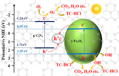 Fabrication Of Z-Scheme Heterojunction By Anchoring Mesoporous γ-Fe2O3 ...