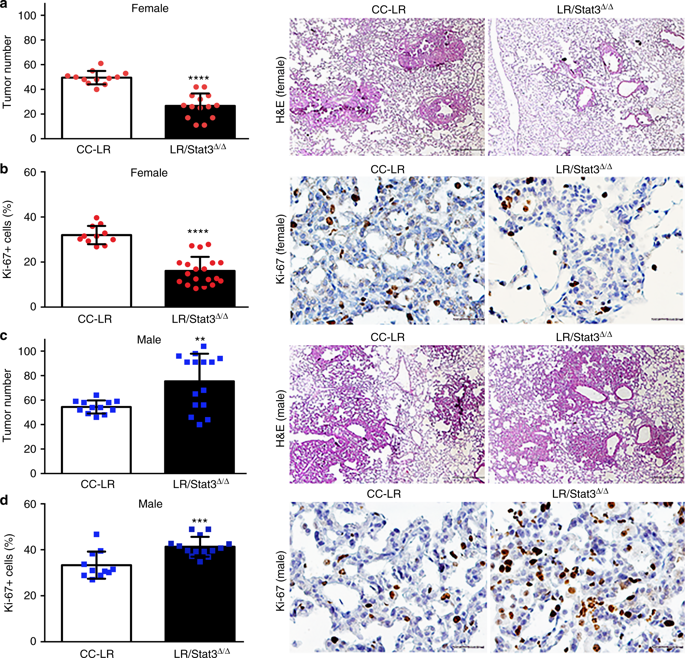 Sex Specific Function Of Epithelial Stat3 Signaling In Pathogenesis Of