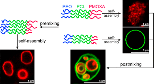 Self-Assembly Of PEO-b-PCL-b-PMOXA Binary Mixtures,Macromolecules - X-MOL