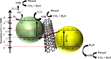 Photocatalytic Degradation Of Phenol Wastewater Over Z Scheme G C3n4 Cnt Bivo4 Heterostructure Photocatalyst Under Solar Light Irradiation Journal Of Molecular Liquids X Mol
