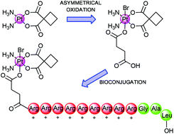 Synthesis of monofunctional platinum(iv) carboxylate precursors