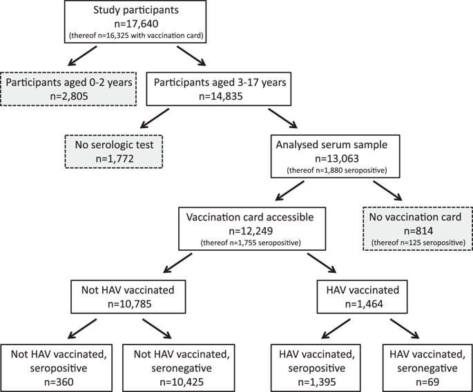 Hepatitis A Virus Infections, Immunisations And Demographic ...