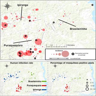 Use Of Anthropophilic Culicid Based Xenosurveillance As A Proxy For Plasmodium Vivax Malaria Burden And Transmission Hotspots Identification Plos Neglected Tropical Diseases X Mol