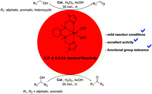 Catalytic Oxidation Of Alcohols With Novel Non Heme N4 Tetradentate Manganese Ii Complexes Dalton Transactions X Mol