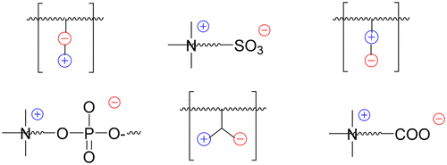 Molecular Design Of Zwitterionic Polymer Interfaces: Searching For The ...