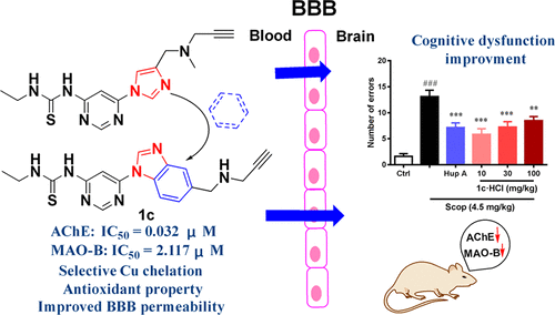 Rational Design Of Novel Selective Dual-Target Inhibitors Of ...